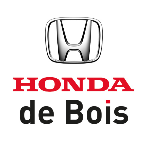 Team Werving & Selectie  | Hyundai Wittenberg 